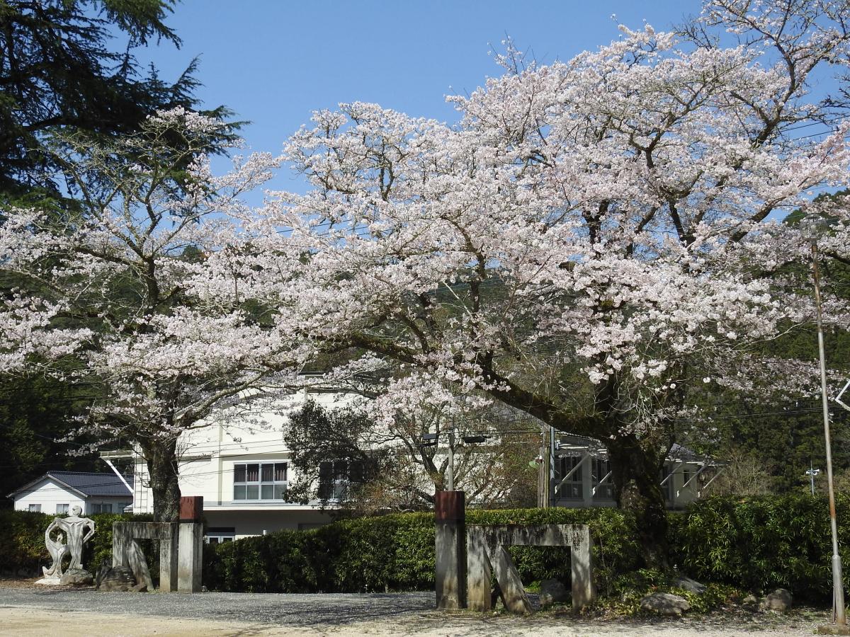 ホーム 内子町立大瀬中学校