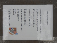 DSCN1906